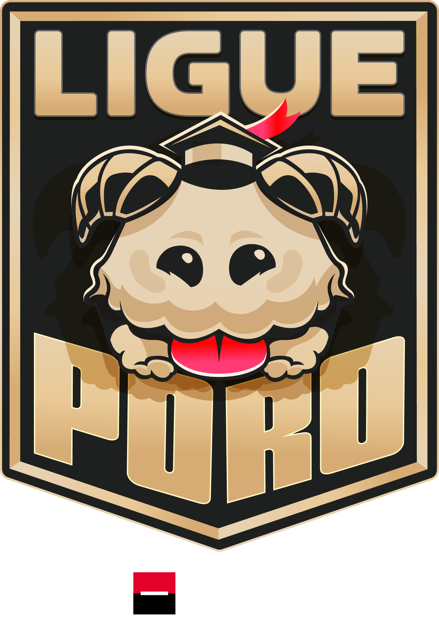 Popup Ligue Poro