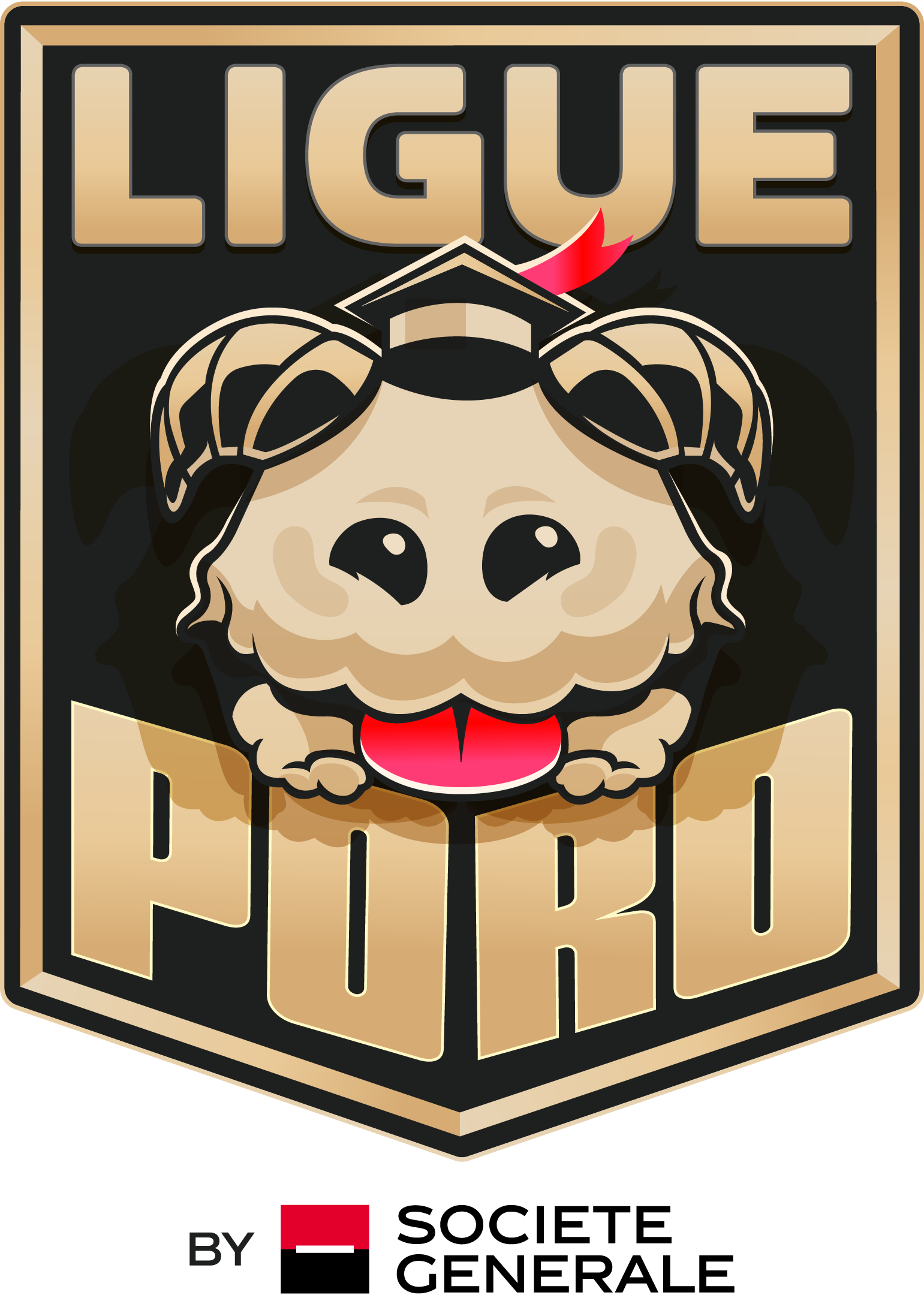 Logo Ligue Poro